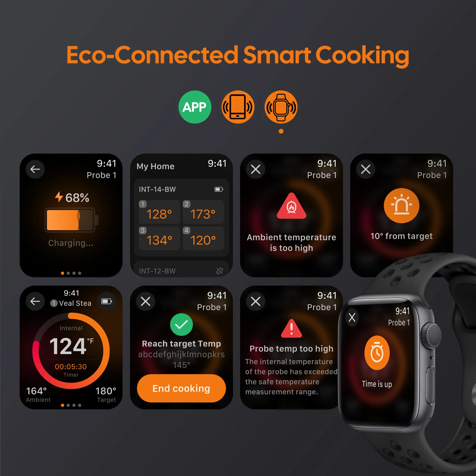 WiFi & Bluetooth BBQ Thermometer IDT-34E-BW - Image 6