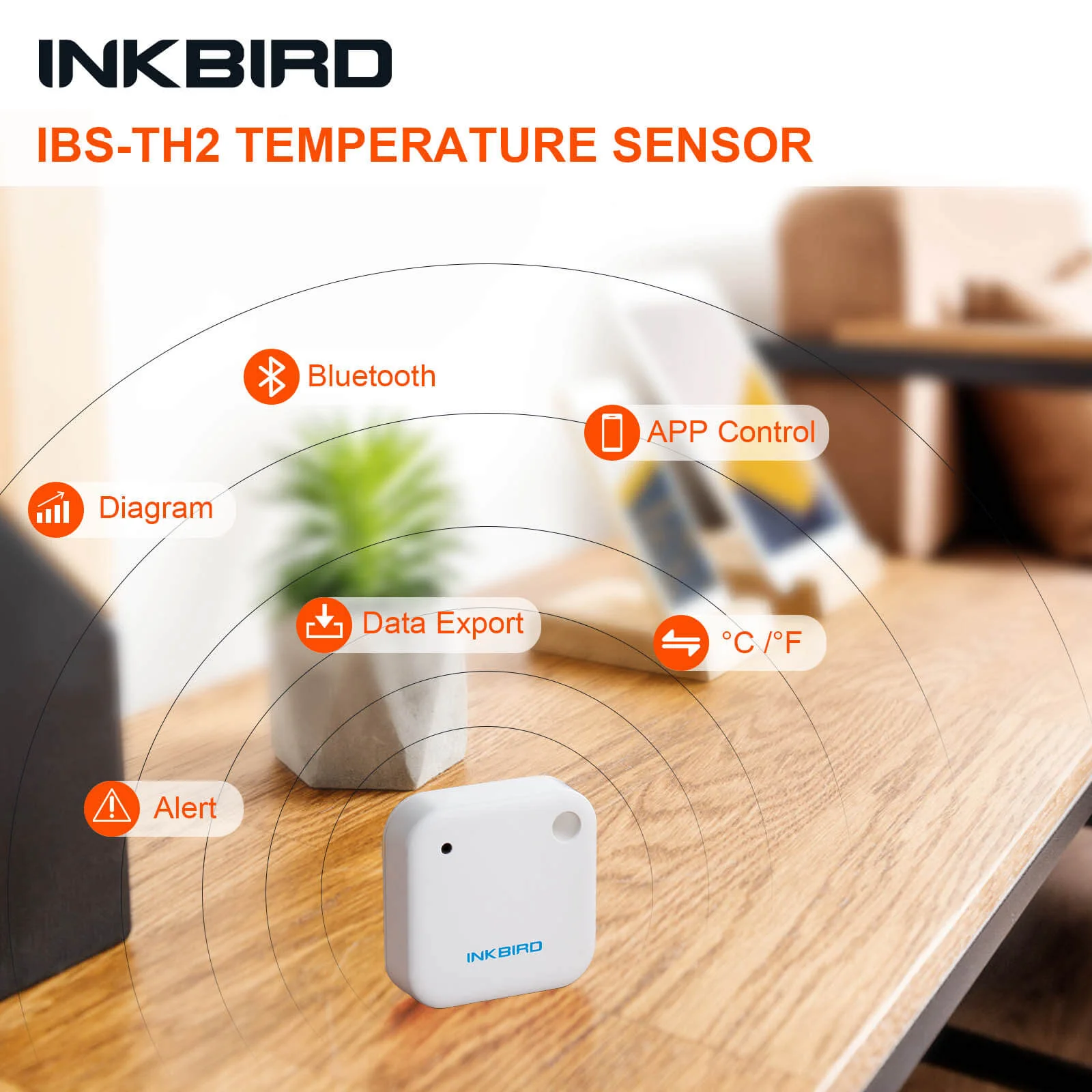Bluetooth Hygrometer Thermometer IBS-TH2 - Image 4
