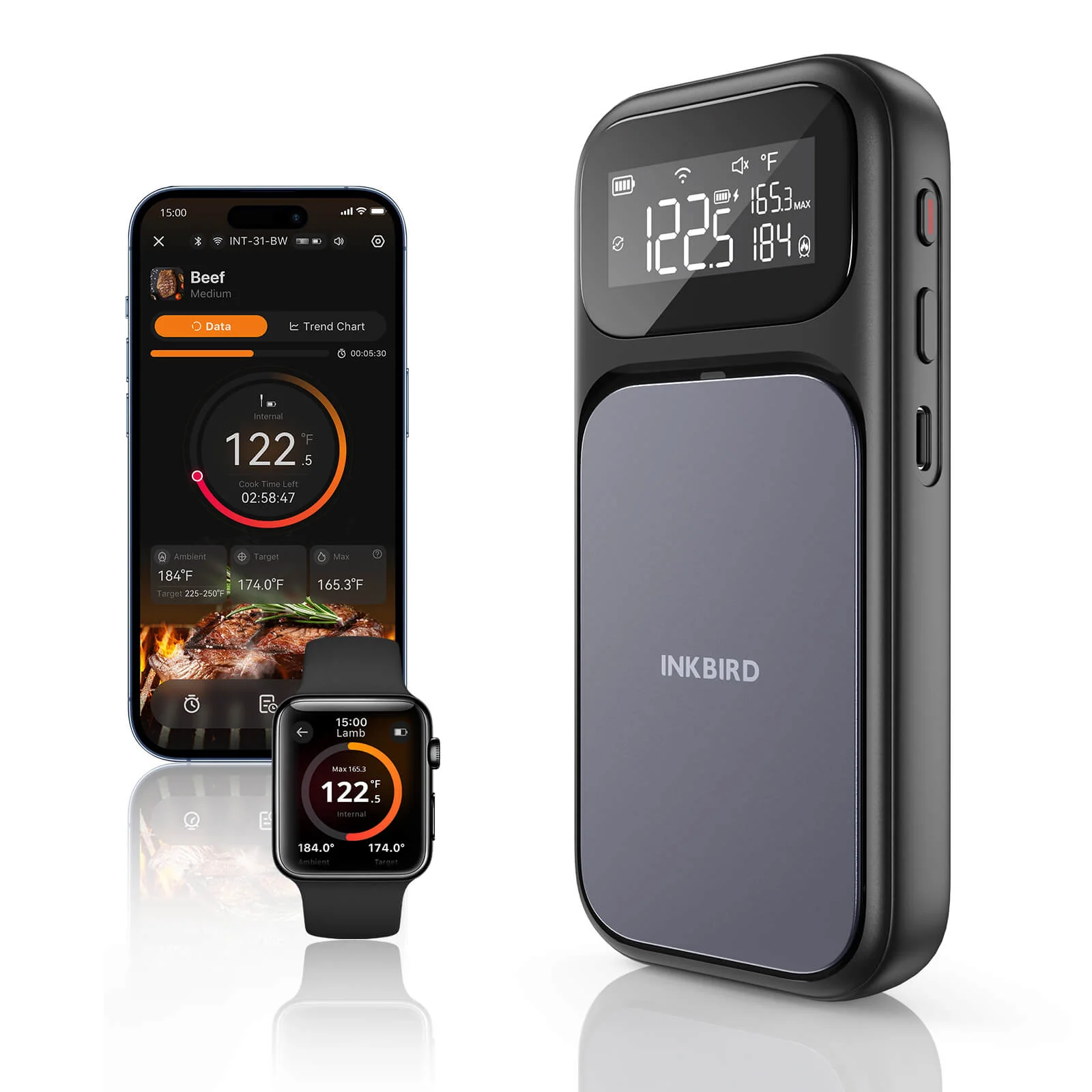 NIST-Certified WiFi & Bluetooth Meat Thermometer INT-31-BW - Image 2