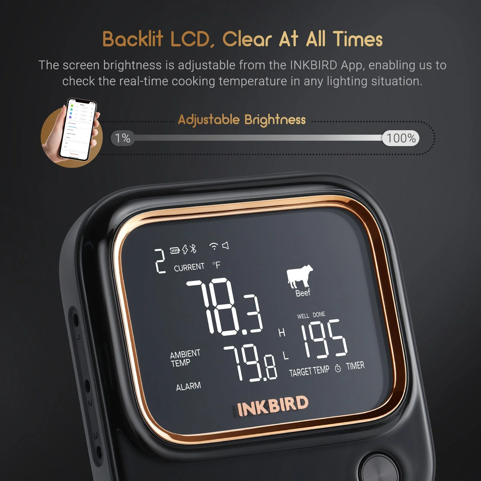 WiFi & Bluetooth BBQ Thermometer IBT-26S - Image 4