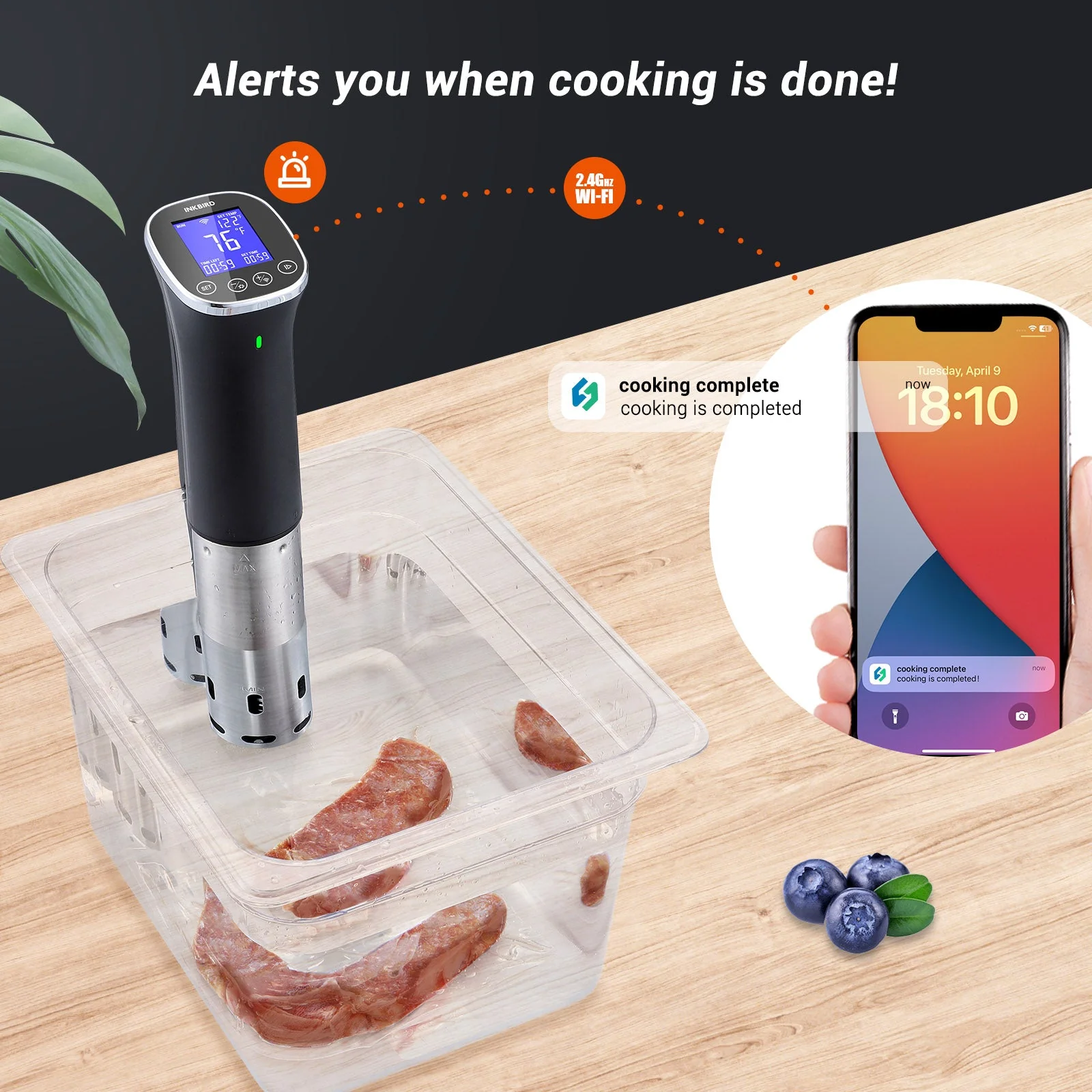 WiFi Sous Vide Cooker ISV-300W - Image 5